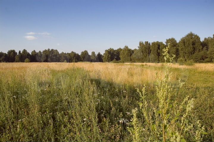 Участок 30 сот. (СНТ, ДНП)