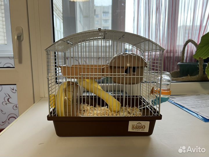 Джунгарик с клеткой