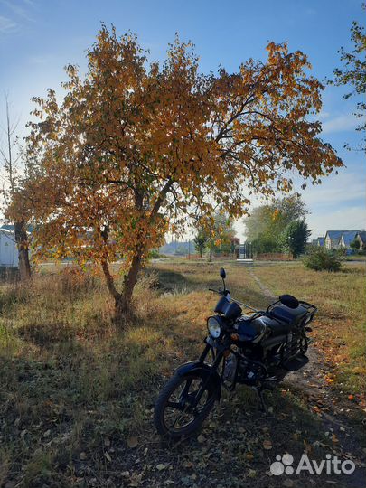 Альфа