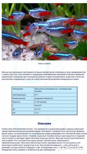 Аквариумные рыбки неоны голубые