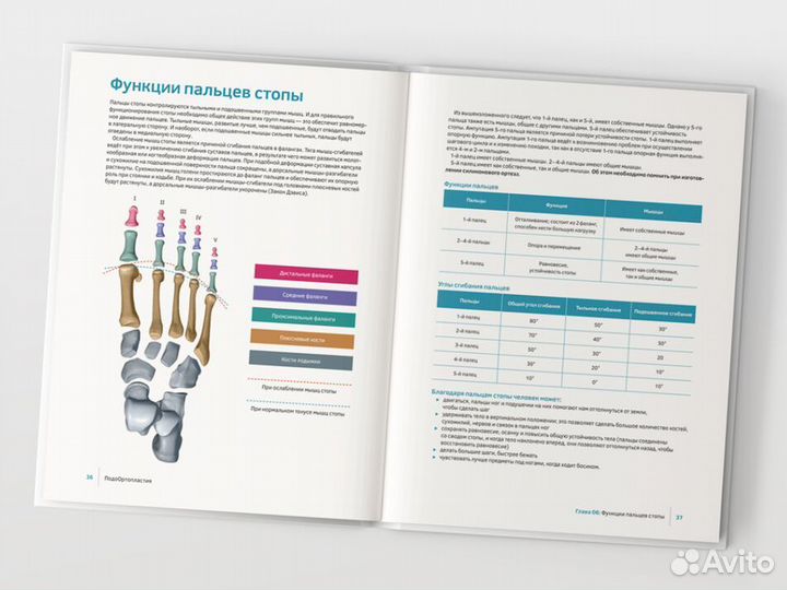 Книга по Подо Ортопластии