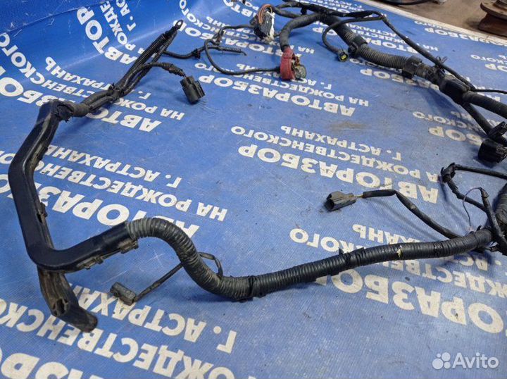 Проводка подкапотная Mazda 6 Gg седан L3C1 2002