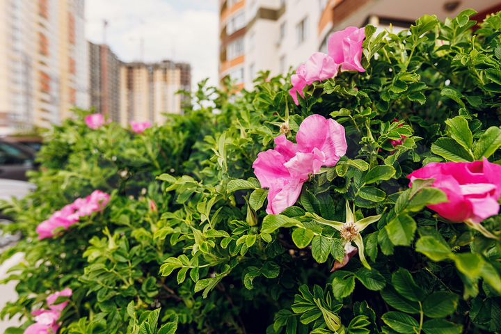 1-к. квартира, 45,7 м², 9/22 эт.