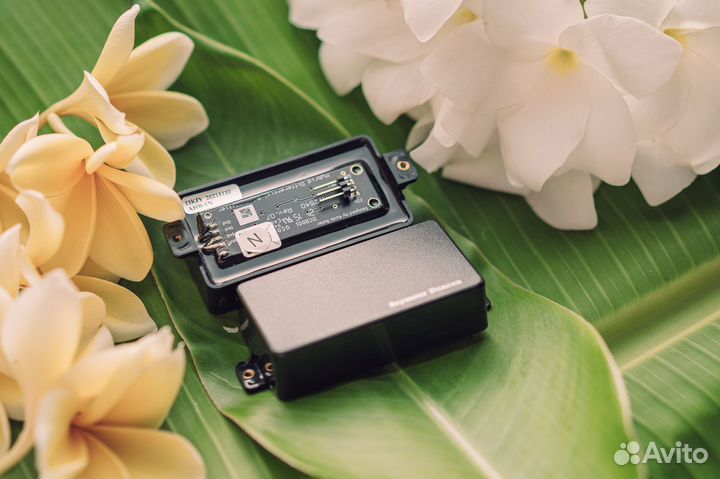 Seymour Duncan AHB-1 Blackouts Set