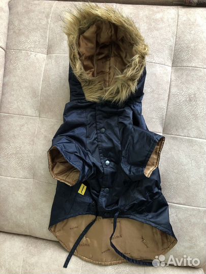 Одежда для средних собак