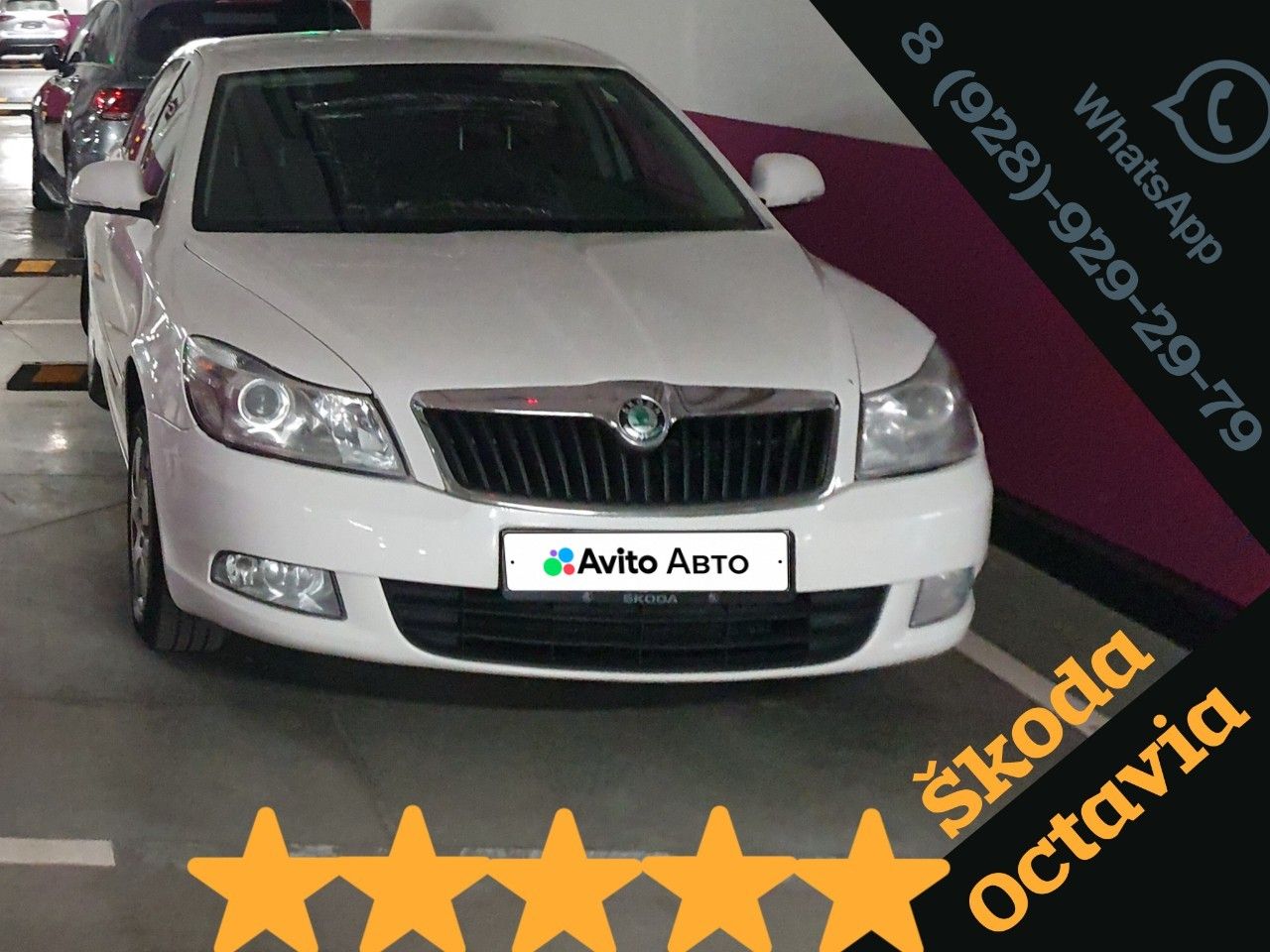 Skoda Octavia: фото владельца