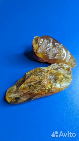 Янтарь с инклюзом