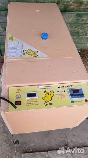 Инкубатор для яиц