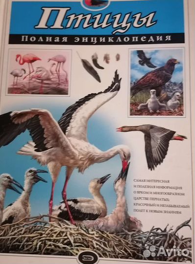 Детская энциклопедия эксмо