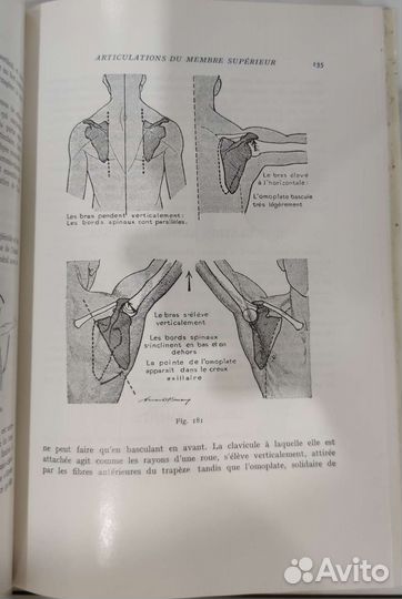 Анатомия Anatomie artistique de l'homme Moreaux