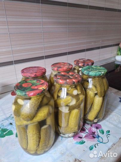 Грузди,Огурцы,Душица