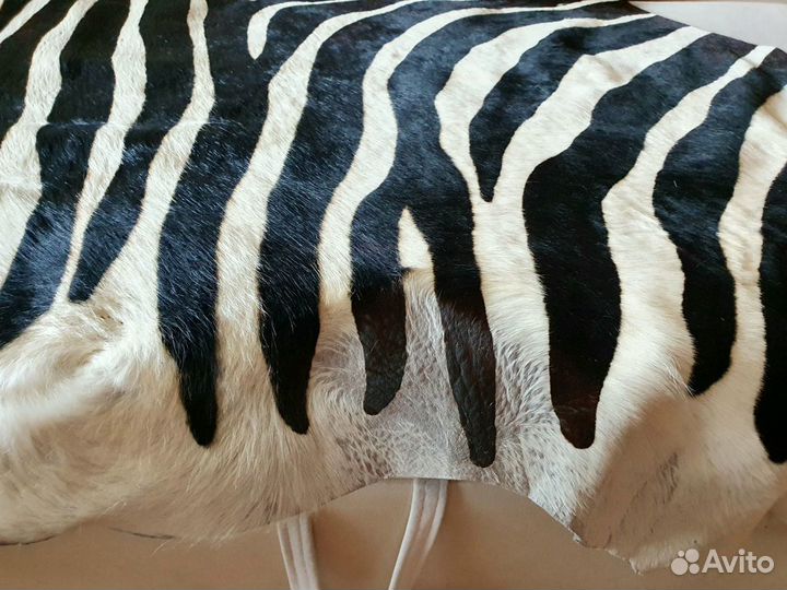 Шкура зебры (натуральная)