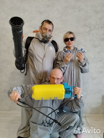Травить тараканов уничтожение клопов травля крыс