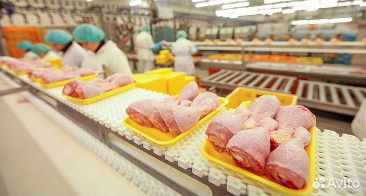 Вахта Белгород Проживание Питание Упаковщик-ца