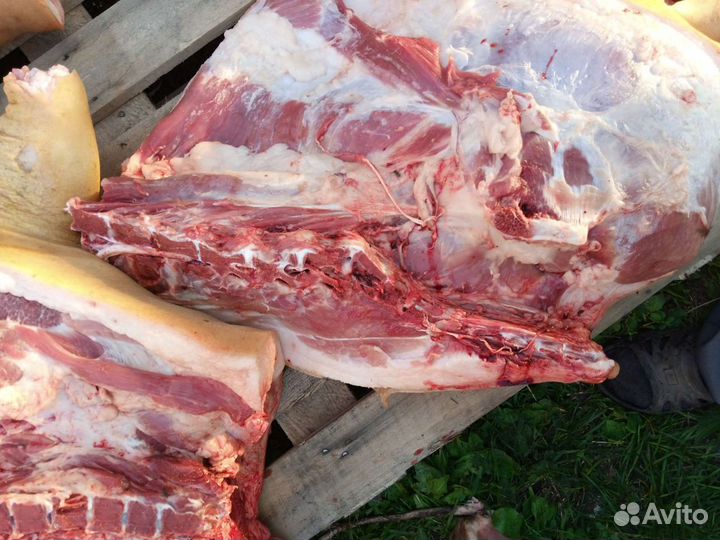 Мясо домашнего поросёнка