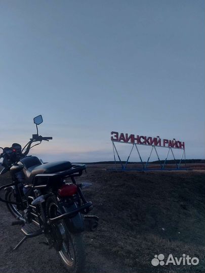 Alpha shuriken evolution 110