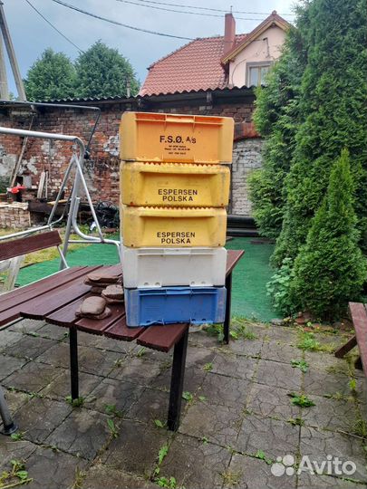 Ящики для рыбы