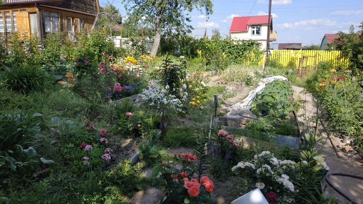 Дача 50 м² на участке 4 сот.