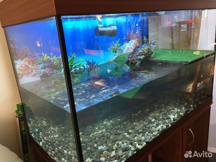 Террариум для красноухой черепахи 250 л. Новый