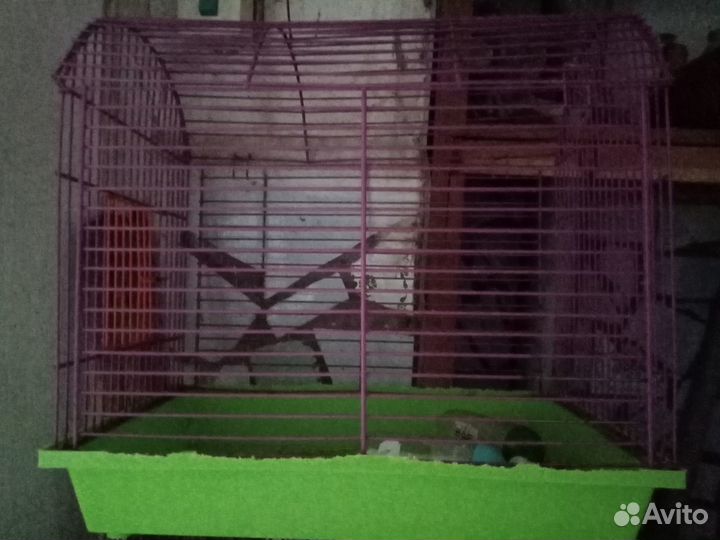 Клетки для птиц