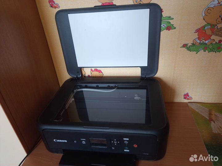 Мфу Canon TS5140