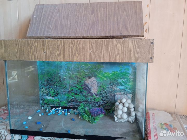 Аквариум