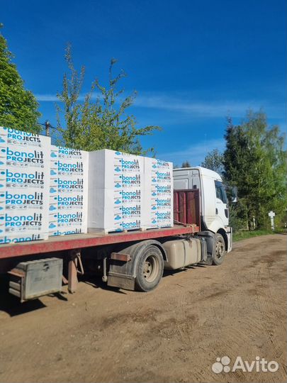 Ппеноблок 600 200 300