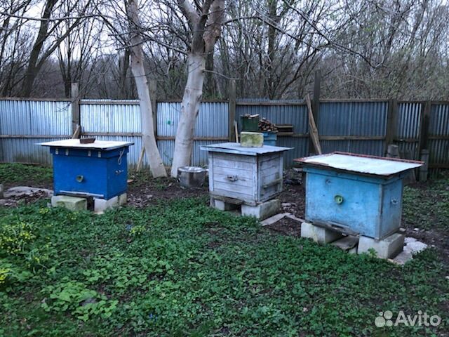 Ульи с пчелами