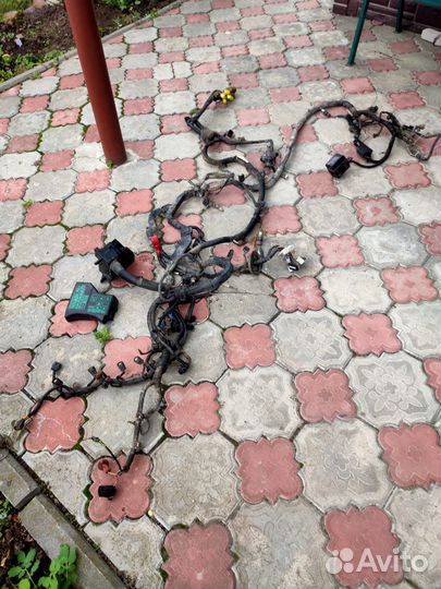 Проводка моторная,коса для mitsubishi carisma рест