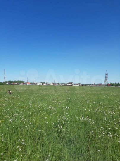 Участок 12,5 сот. (ИЖС)