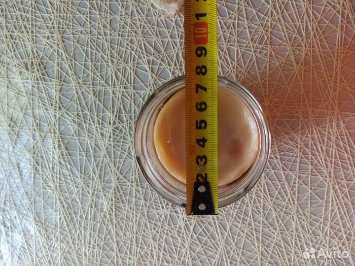 Чайный гриб