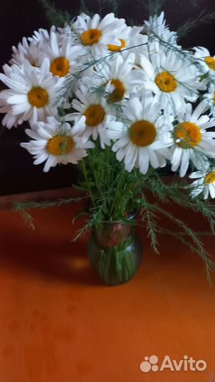 Букет цветов