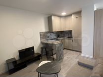 снять квартиру в спб с животными. апартаменты спб. 37, м. квартира в питере. студия апартаменты спб апарт отель.