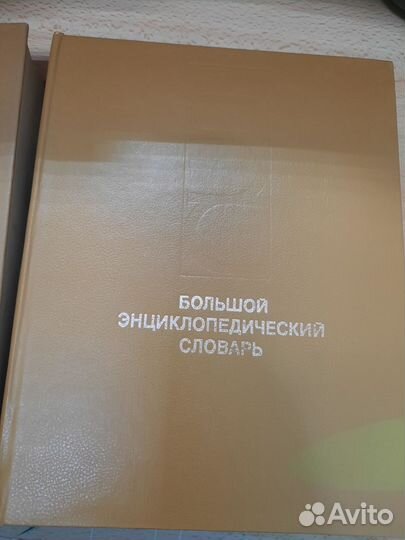 Большой энциклопедический словарь 2 тома