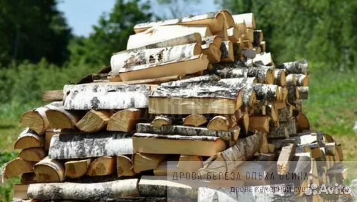 Дрова сухие