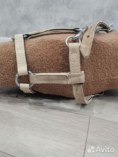 Недоуздок сов для лошади. Новый