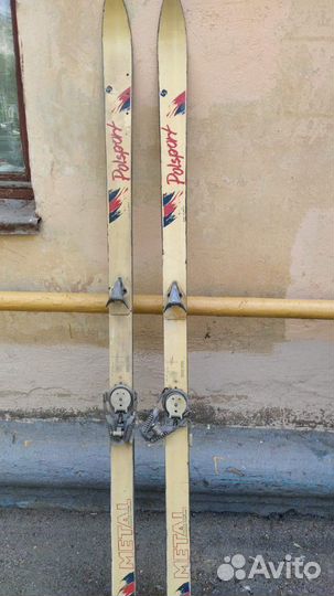 Горные лыжи