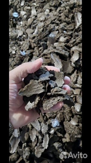 Продаем жмых, шрот - подсолнечный