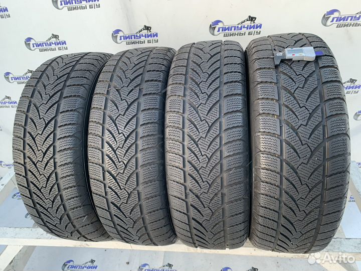 Platin RP 60 Winter 205/60 R16 92H