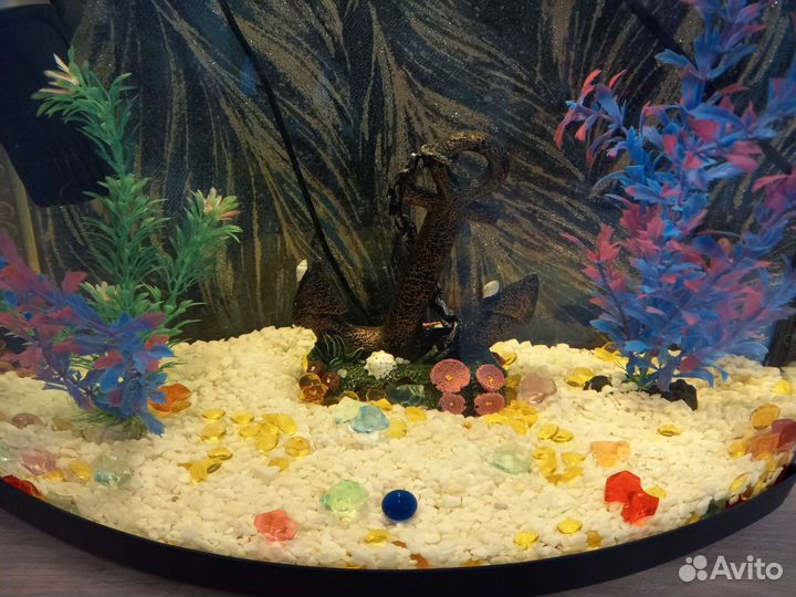Аквариум
