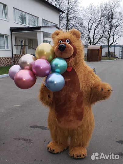 Экспресс поздравление мишка, панда и другие
