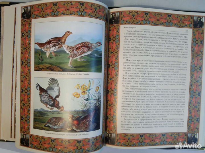 Русская охота. Бутромеев