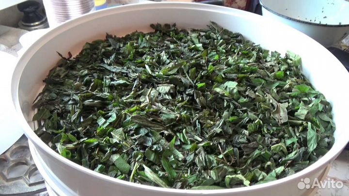 Иван Чай оптом