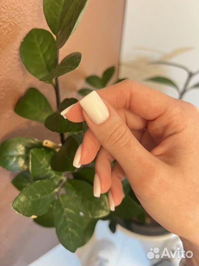 Маникюр; наращивание; оформление бровей