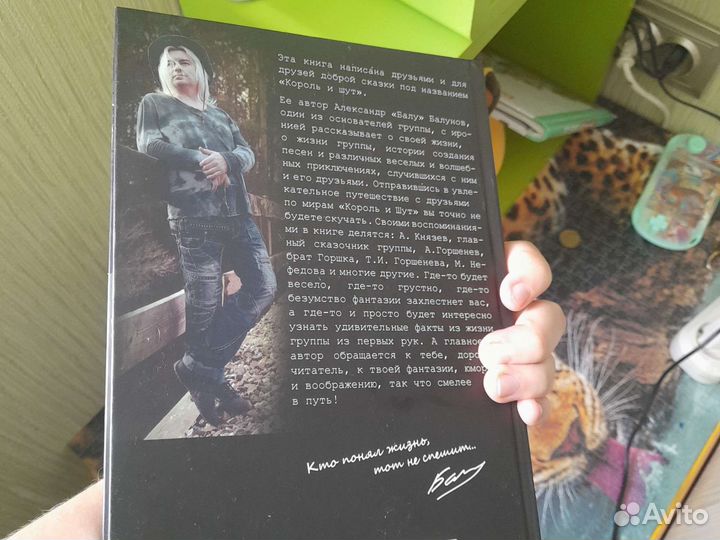 Король и шут книга