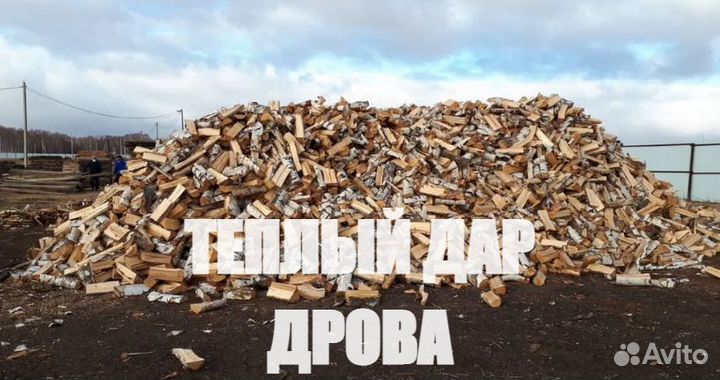Дрова сухие доставка