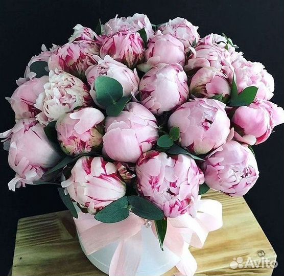 Пионы Букет