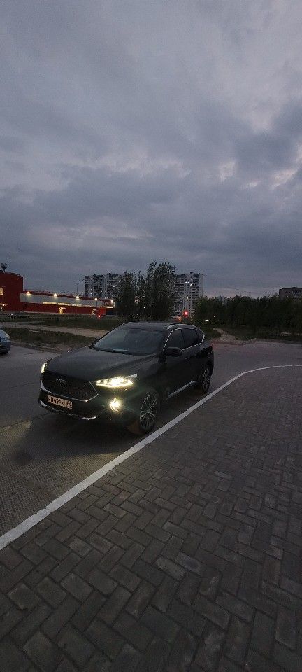 HAVAL F7: фото владельца