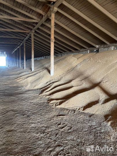 Отходы гороха