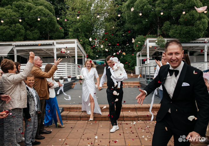 Ведущий на мероприятие + Dj с оборудованием